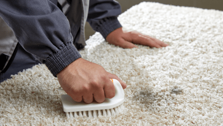 Professional Rug Cleaning Norlane