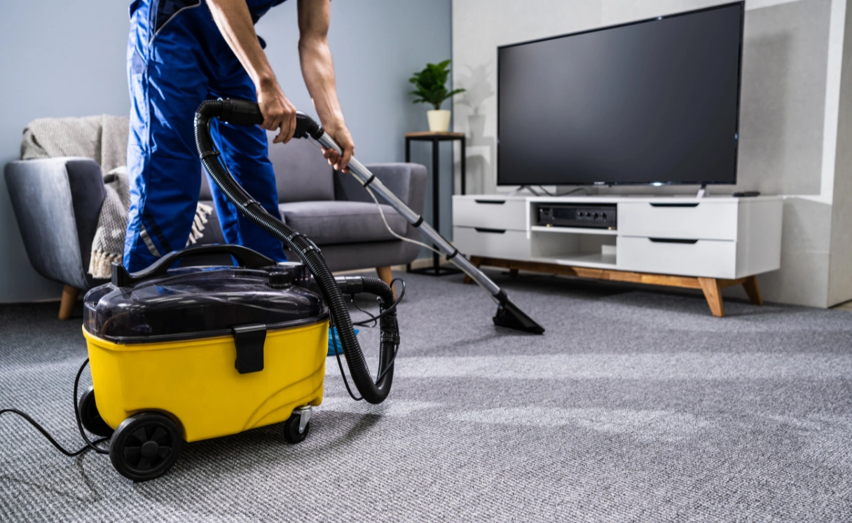 Extract Rug Cleaning Norlane Contact Office